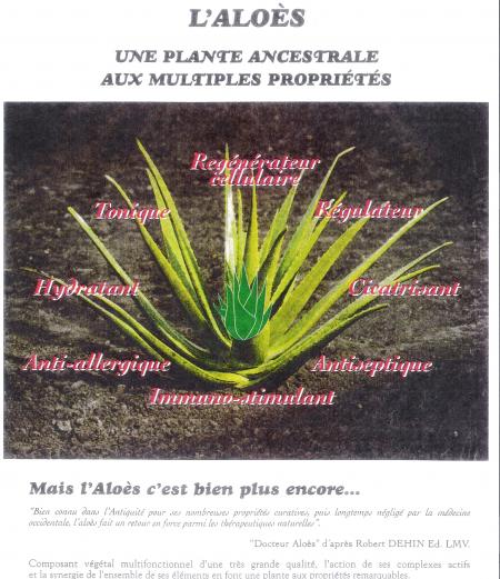 fsm-aloes